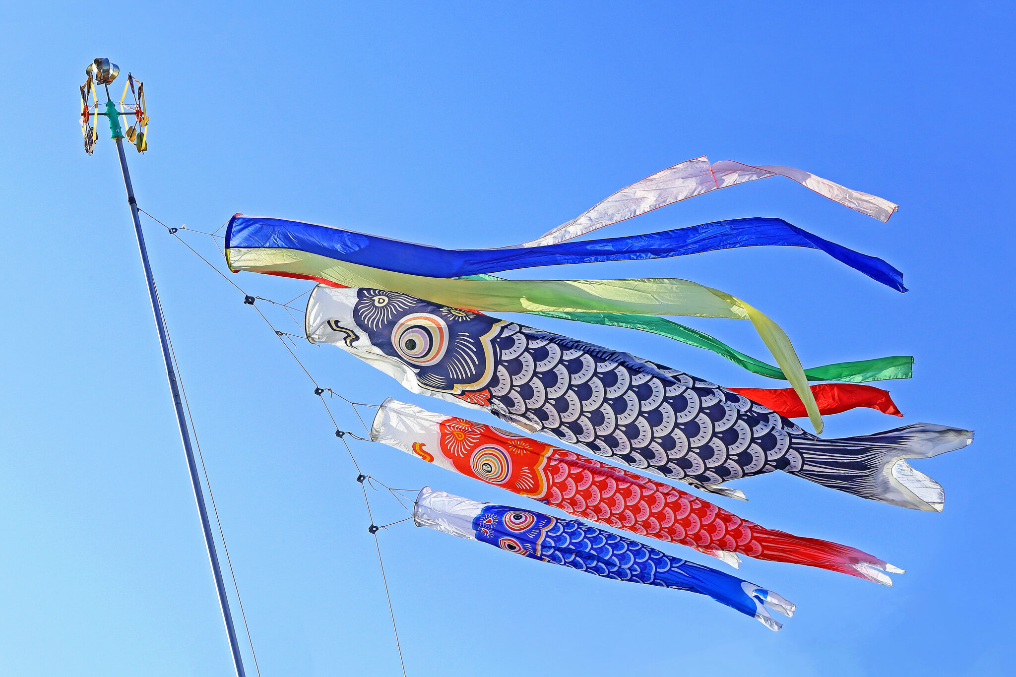 Boy's Day! A traditional Japanese festival for boys on May 5th. - Nyapanese